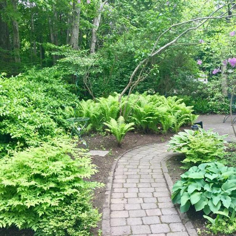 Elms Of Camden Bed & Breakfast Bagian luar foto