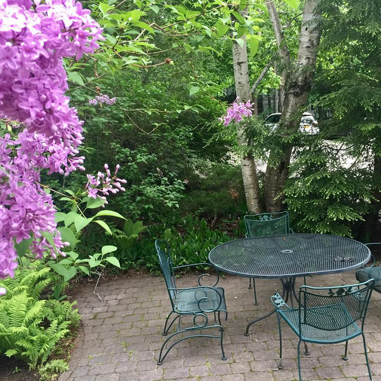 Elms Of Camden Bed & Breakfast Bagian luar foto